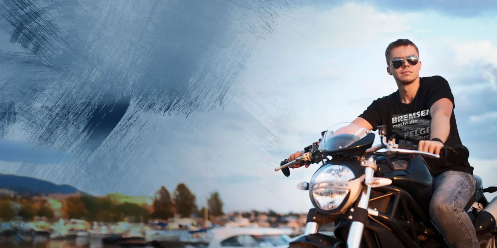 HOME - cat head BMFD 1